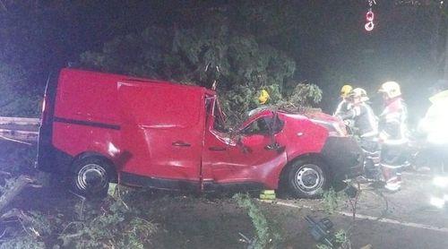Mau Tempo/Portugal: Um morto em queda de árvore em cima de carro em Vila Franca de Xira 