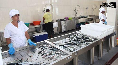 Porto Novo: Associação assinala Dia Nacional das Peixeiras com retiro e reflexão sobre situação da classe