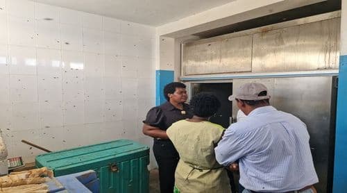 Boa Vista: Governo vai estudar novo sistema de frio e energias renováveis para a Peixaria Municipal de Sal Rei