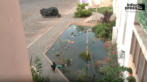 Boa Vista: Moradores do Condomínio Salinas denunciam esgoto a céu aberto e exigem intervenção urgente da IFH