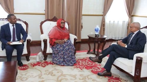 Cabo Verde e República do Djibouti discutem possibilidade de cooperação bilateral