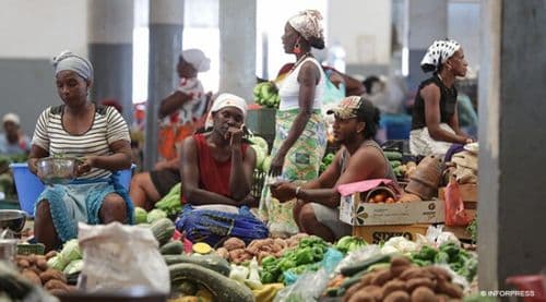OMCV aponta implementação das políticas públicas de igualdade de género como principais desafios