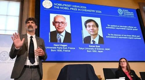 Nobel da Química para descoberta importante para fabrico de medicamentos