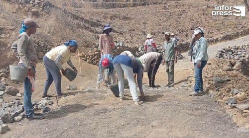 Porto Novo:  Obras de manutenção de estradas e caminhos vicinais empregam 40 famílias 