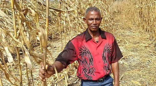 Dia Mundial de Alimentação: Maior produtor de milho em São Tomé e Príncipe aventura-se na plantação de arroz