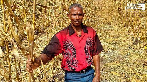 Dia Mundial de Alimentação: Maior produtor de milho em São Tomé e Príncipe aventura-se na plantação de arroz