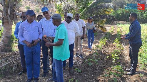 Primeiro-ministro destaca avanços na infraestruturação e agricultura no município de São Miguel
