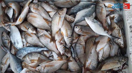 Porto Novo ganha infra-estruturas da pesca no âmbito do projecto Terra Azul