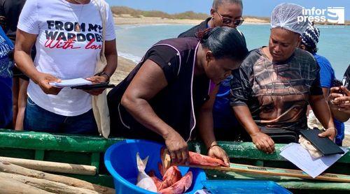 Fundação Maio Biodiversidade destaca contributo das peixeiras na recolha de dados do pescado na ilha