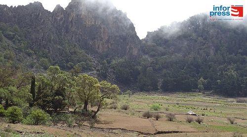 Santo Antão/Planalto Leste: Amupal admite interesse de um parceiro em Espanha no projecto de produção de vinho