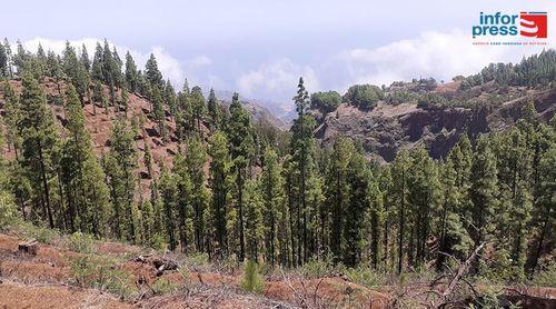 Santo Antão: Planalto Leste com Centro de Interpretação da Floresta para valorizar património natural