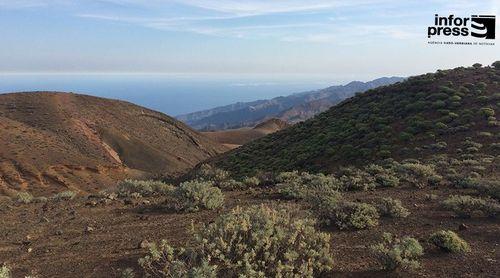 Porto Novo/Planalto Norte: Criadores de gado defendem que confinamento do gado vai exigir investimentos em currais