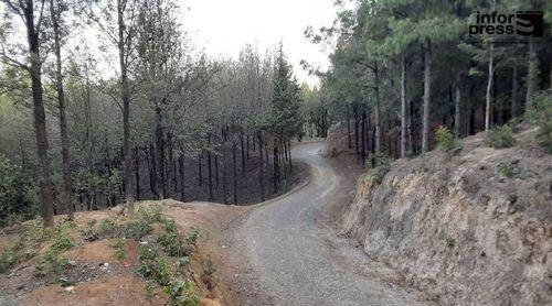 Porto Novo/Ambiente: Amupal reafirma disponibilidade de ser parceira na recuperação da floresta do Planalto Leste