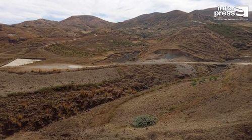 Porto Novo/Planalto Norte: Falta de ração no mercado deixa criadores de gado aflitos
