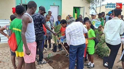 Santa Cruz: Plantação de árvores mobiliza crianças e comunidade para preservação ambiental