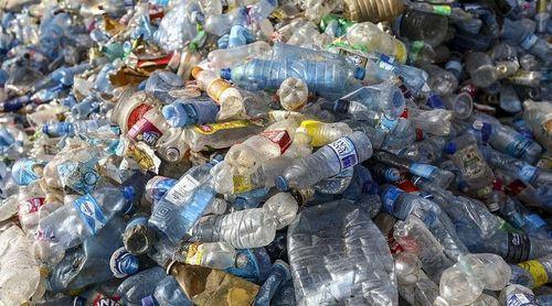 Biólogo marinho alerta para necessidade urgente de dar mais importância e prioridade à causa ambiental