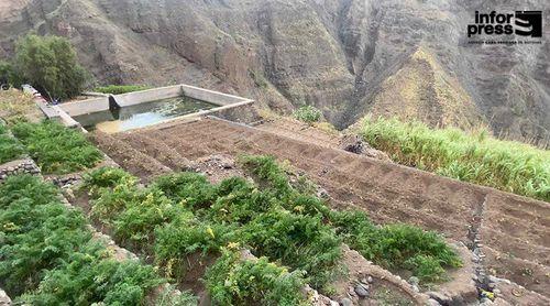 Porto Novo/Dominguinhas: Agricultores com "avultadas perdas" devido a dificuldades de escoamento - associação 