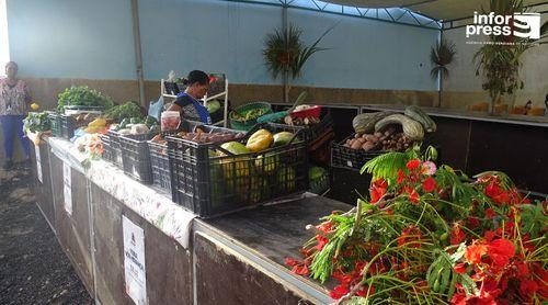 Porto Novo: Feira agro-pecuária da Ribeira de Corujinha arranca com 30 expositores – promotores