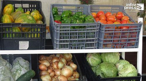 Porto Novo: Feira agropecuária da Ribeira Corujinha arranca com 30 expositores – promotores