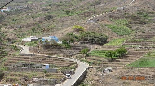 Porto Novo/Martiene: Agricultores voltam a alertar para o preço elevado da água de furo