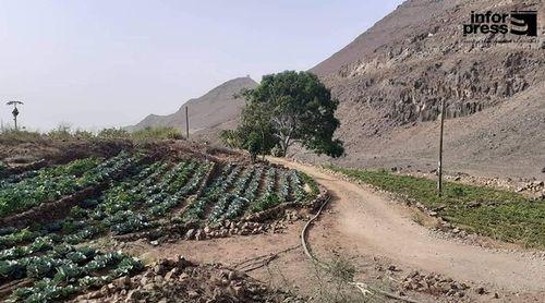 Porto Novo/Ribeira Fria: População satisfeita com o estado da estrada após trabalhos de recuperação