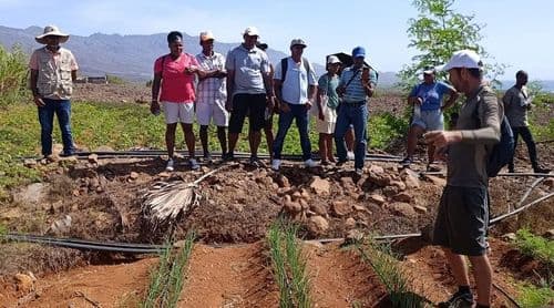 Porto Novo: Famílias da Aguada de Zurinca conhecem práticas agrícolas desenvolvidas em Casa de Meio