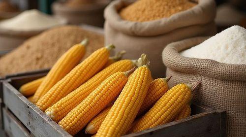 Preços dos produtos alimentares registam tendências mistas no mercado internacional na semana de 25 a 31 de Março