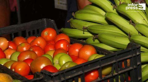 Porto Novo: Centro de expurgo entre os principais desejos dos produtores agrícolas para 2025