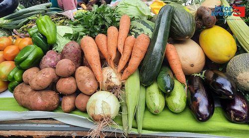 ERIS celebra Dia Mundial da Segurança Alimentar com actividades educativas em escolas primárias
