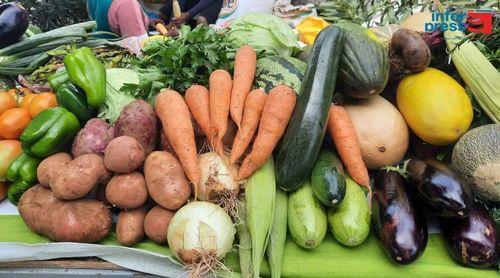 Santo Antão: MAA garante que entrepostos agrícolas têm permitido contornar embargo aos produtos