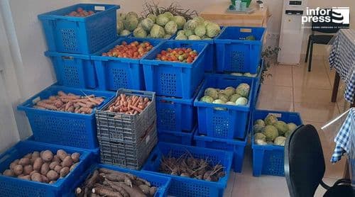 Porto Novo: Produtores do inhame ansiosos pela operacionalização do entreposto agrícola 