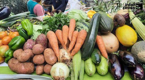 Santo Antão: Entrepostos agrícolas recebem materiais da FAO e do Ministério da Agricultura e Ambiente