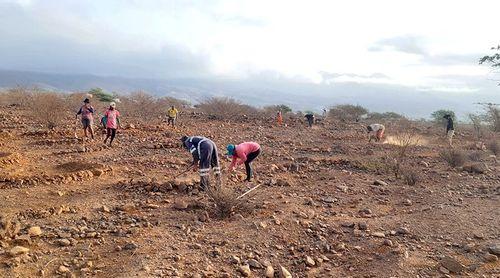 Porto Novo: Projecto sobre sistemas agroflorestais possibilita restaurar de ecossistemas naturais