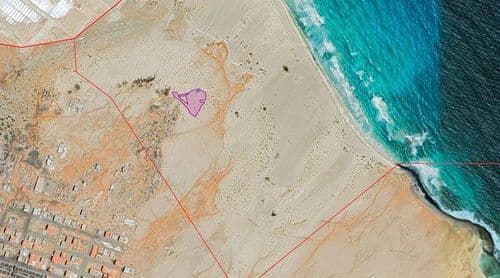 Ilha do Sal: Projecto Biodiversidade alerta para "construções invasivas" na Reserva Natural da Costa de Fragata