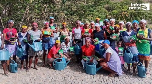 São Miguel: Projecto Agro-Hortaliças apoia 30 mulheres da Ribeira de São Miguel na criação de mini-hortas familiares