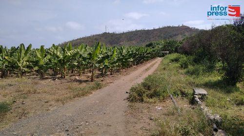Santa Cruz: Governo actualiza compensação para trabalhadores de Justino Lopes após analisar reclamações 