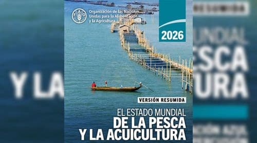Produção pesqueira mundial atinge recorde de 235 milhões de toneladas - relatório da FAO