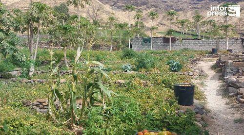 Porto Novo: Fundação Fundamental destaca Ribeira Fria como exemplo de desenvolvimento agrícola integrado em Santo Antão 