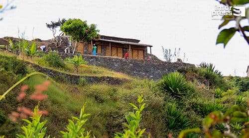 Santo Antão: Produtores satisfeitos com produção de café em Santa Isabel