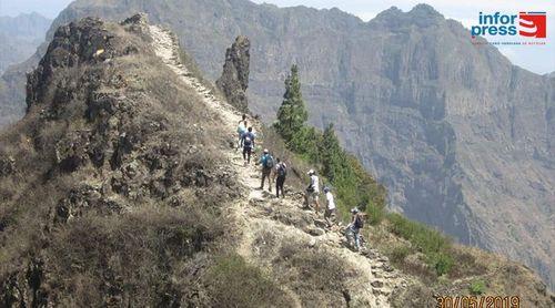 Santo Antão: Produção do café em Santa Isabel foi fraca pelo segundo ano consecutivo – agricultor
