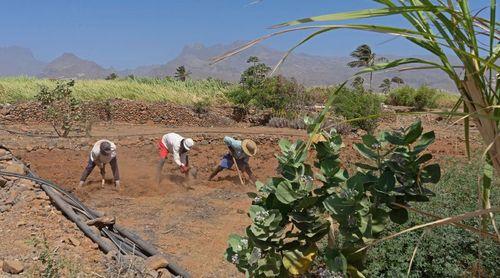 Santo Antão acolhe agricultores da ilha do Maio em busca de soluções práticas para reforçar produção agrícola