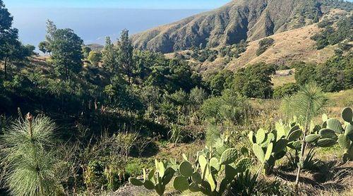 Santo Antão: ICTA enaltece "premente necessidade" de conservação do solo e água na ilha 