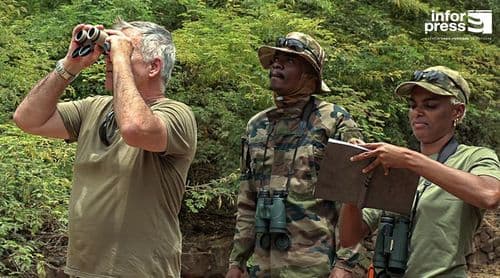 Associação defende coexistência e rejeita abate como solução para praga de macacos