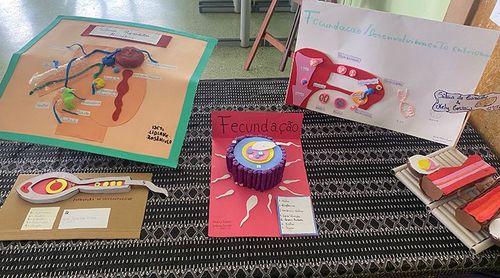 Coordenadora aponta necessidade urgente de reabilitar laboratórios do Liceu Domingos Ramos