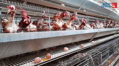 São Vicente/Chuvas: Sociave retoma abastecimento de mercado após prejuízo de mais de 30 mil contos (c/áudio)