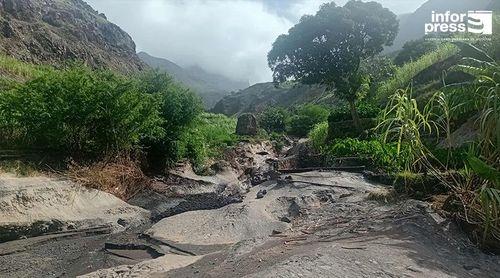 Porto Novo: Líder dos agricultores do Tarrafal de Monte Trigo pede "urgência no socorro" aos produtores do inhame