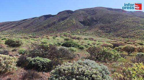 Santo Antão/Ambiente: Terrimar quer fortalecer parcerias para conservação da flora endémica na ilha