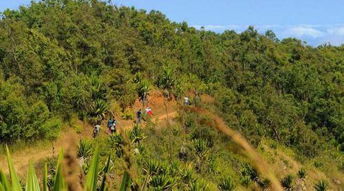 Turismo: Câmara de São Miguel inicia limpeza e reconstrução das estradas rurais, trilhas e caminhos vicinais
