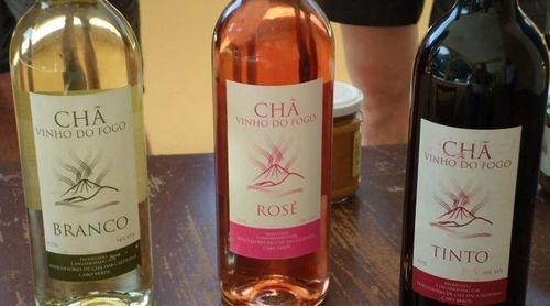 Fogo: Adega Chã representada por dois responsáveis na cerimónia de entrega das medalhas de ouro