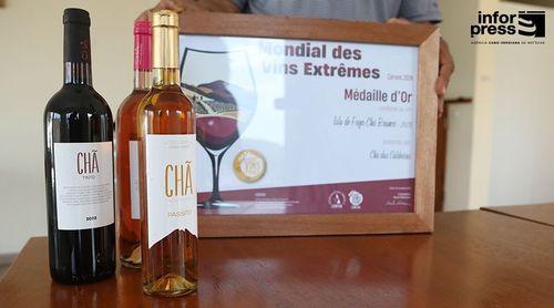 Fogo: Vinho Chã Branco 2024 conquista Grande Medalha de Ouro no Mundial de Vinhos Extremos